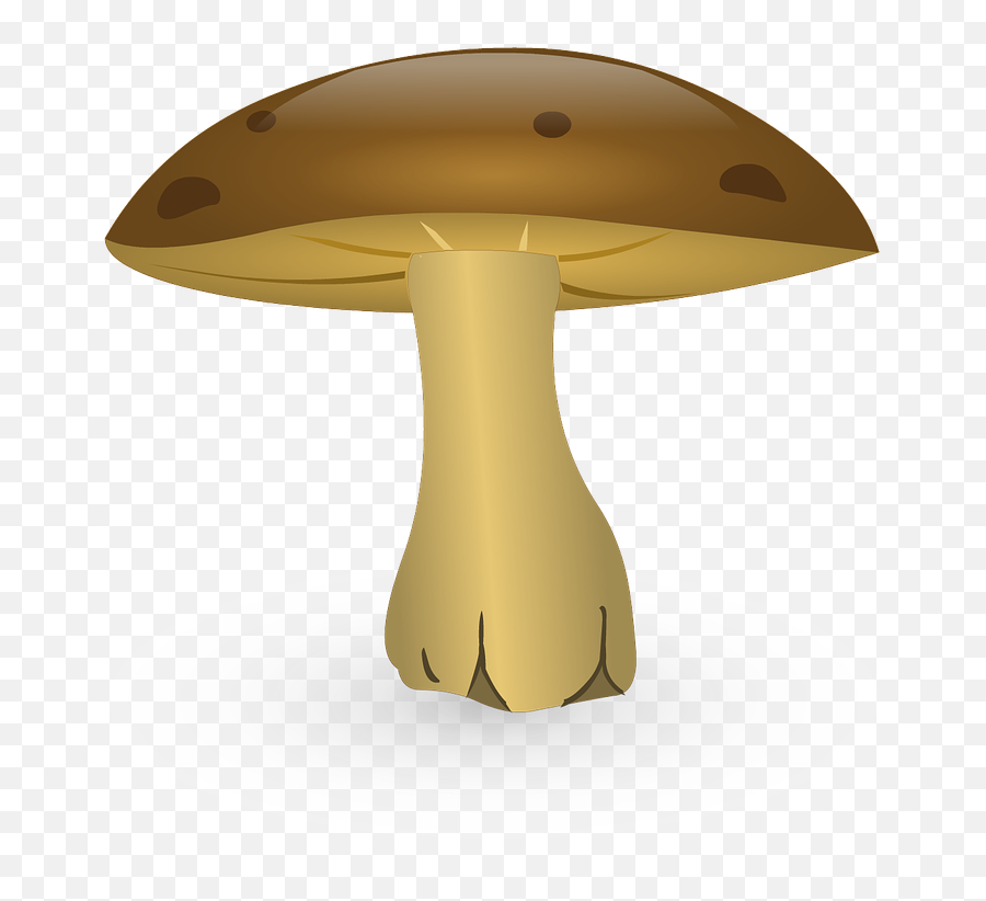 Mushroom Cartoon Fungus Vegetable Organic - Mushroom Drawing Png Emoji,Fly Emoji