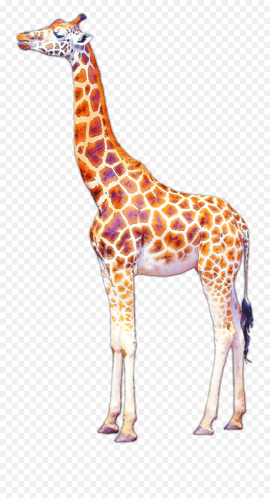 Giraffe Drawing Art - Baby Animals Png Download 12801920 Tsing Ma Bridge Emoji,Giraffe Emoji