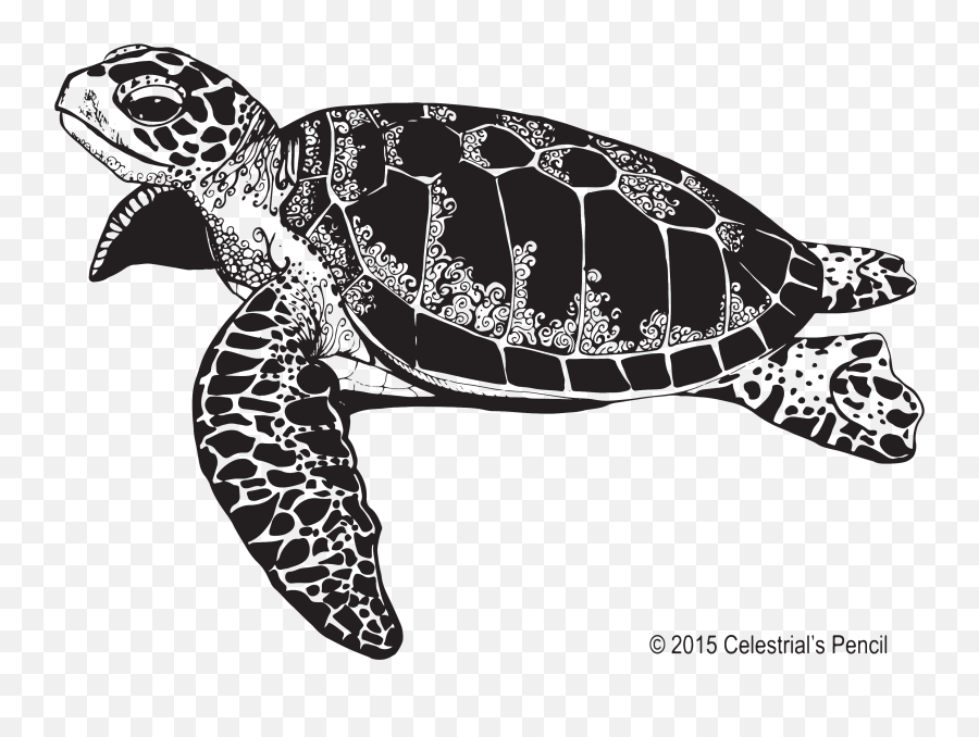 Tortoise Vector Turtle Tattoo Transparent U0026 Png Clipart Free Emoji,Sea Turtle Emoji