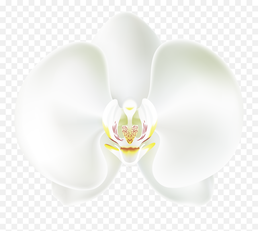 Clipart White Orchid Png Emoji,Orchid Emoji