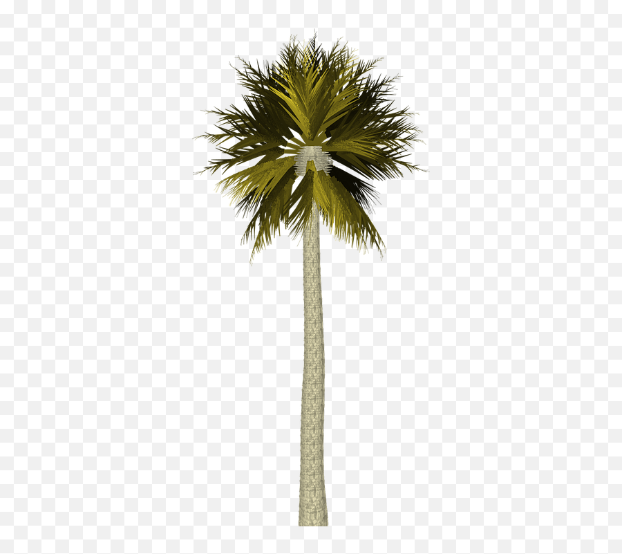 Palm Tree - Palm Trees Emoji,Palm Tree Book Emoji