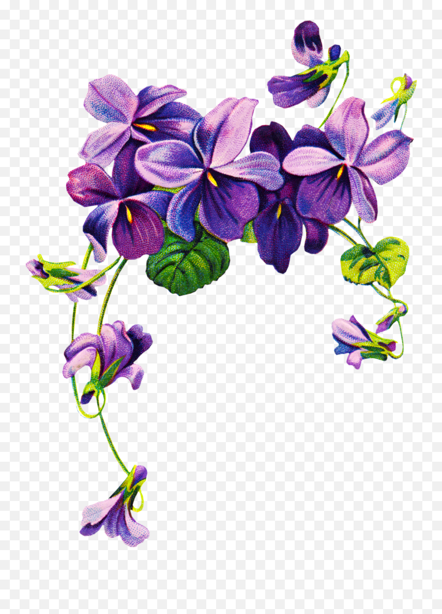 Violet Flower Png Violet Flower Png Transparent Free For - Violet Flower Tattoo Emoji,Purple Flower Emoji