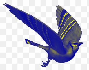 Gifs Image By Melyndamonea Birds Animation Colorful Birds - Animated Bird Sitting Gif Emoji,Bluebird Emoji