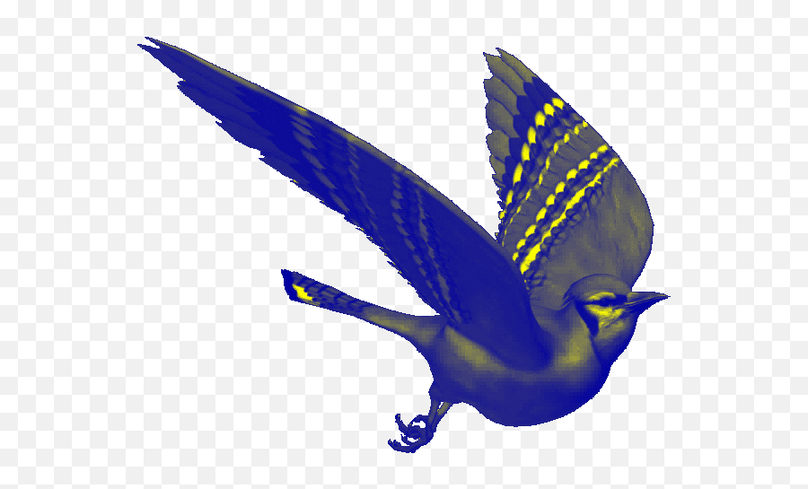 Gifs Image By Melyndamonea Birds Animation Colorful Birds - Animated Bird Sitting Gif Emoji,Bluebird Emoji
