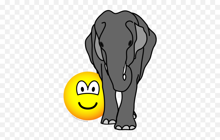 Elephant In The Room Emoticon - Elephant Emoticon Emoji,Asian Emojis