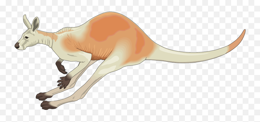 Kangaroo Clipart - Clipart Kangaroo Jumping Emoji,Kangaroo Emoji