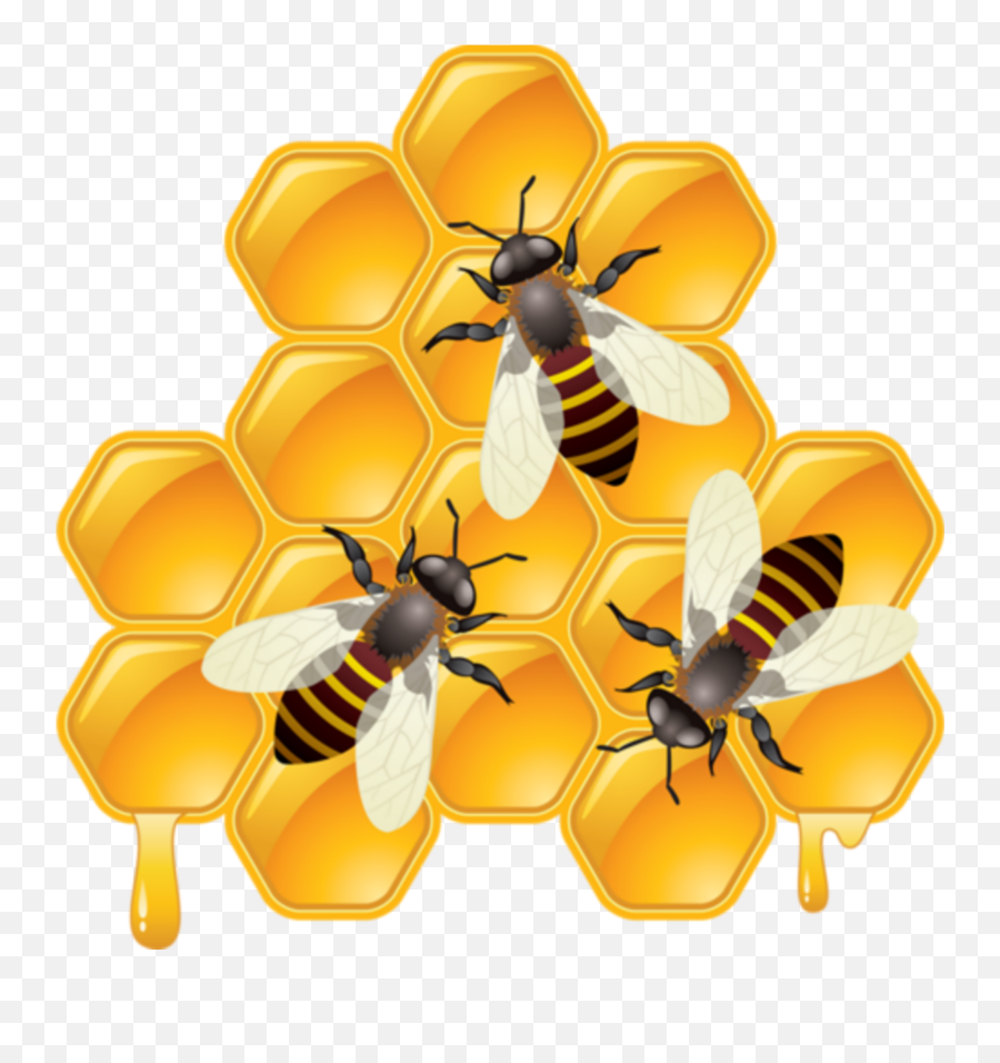 Edit - Honey Bee Clipart Png Emoji,Honey Pot Emoji