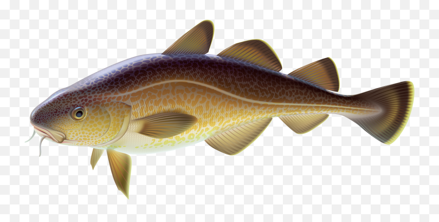 Scary Fish Transparent Png Clipart - Carp Fish Png Emoji,Fish Moon Emoji