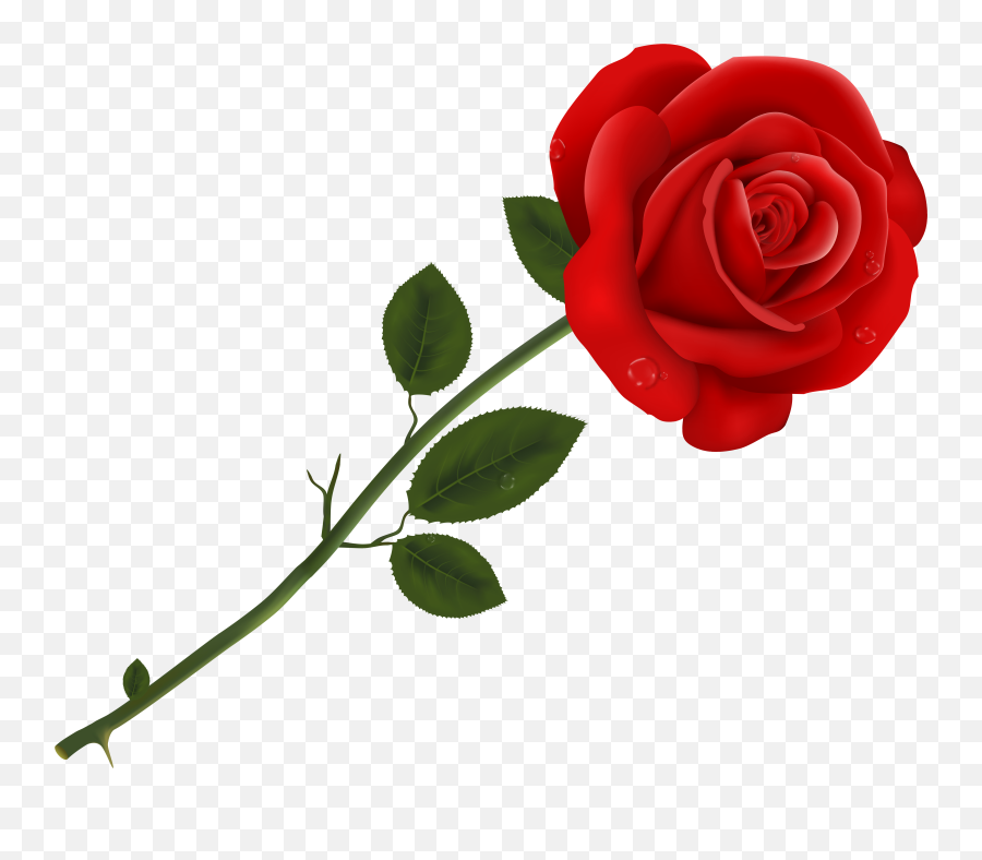 Rose Clipart Dead Rose Rose Dead Rose Transparent Free For - Rose Clipart Transparent Background Emoji,Dead Rose Emoji