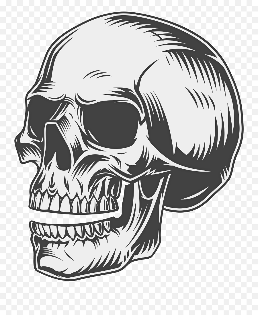 Clipart Of Skull Emoji,Skeleton Emoji