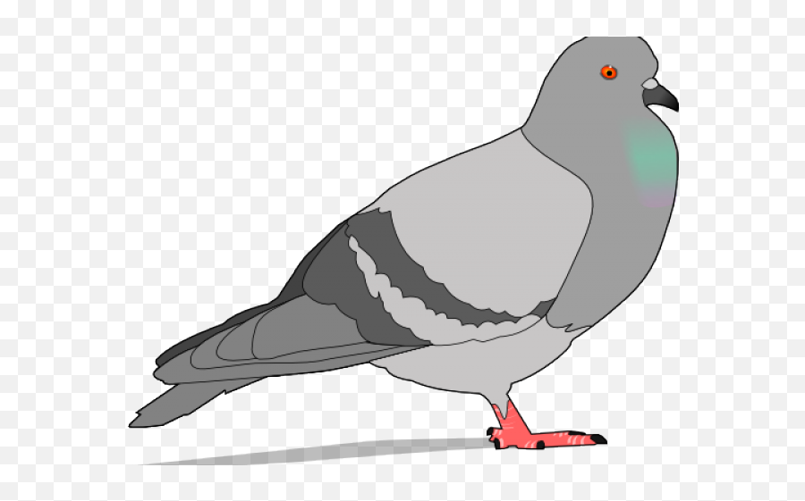 Pidgeons Clipart Face - Pigeon Clipart Png Download Full Pigeon Clipart Emoji,Pigeon Emoji