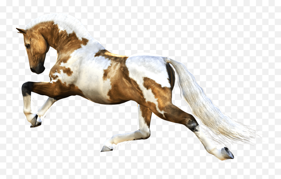 Mustang Horse Transparent Png Clipart - Horse Running Images Png Emoji,Horse Muscle Emoji