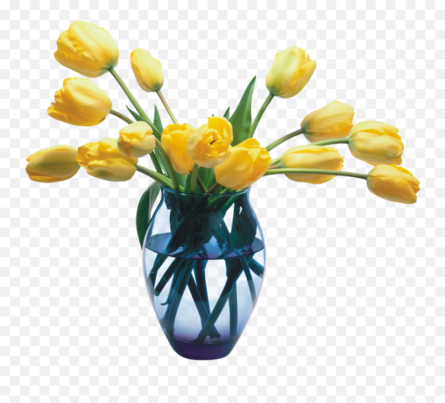 Cartoon Bouquet Of Flowers Photo - Vase Of Flowers Png Emoji,Bouquet Emoji