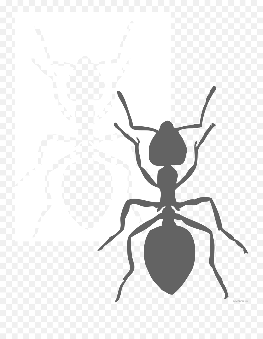Black Ant Clip Art - Ant Clipart Black And White Emoji,Ant Emoji