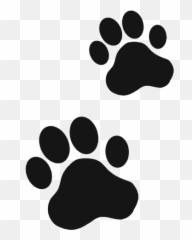 Dog Paw Cat Cute Animal Animals - Vsco Stickers Dog Paw Emoji,Dog Paw Emoji