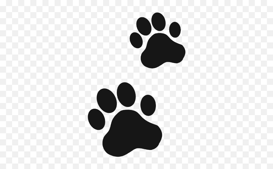 Dog Paw Cat Cute Animal Animals - Vsco Stickers Dog Paw Emoji,Dog Paw Emoji
