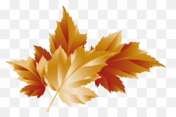 Fall Leaves Clipart Clear Background - No Brown Leaf Emoji