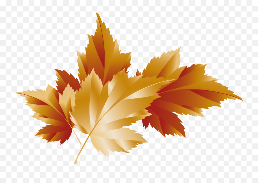 Fall Leaves Clipart Clear Background - No Background Brown Leaf Emoji,Autumn Emoji