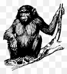 Orangutan Black And White Png Emoji,Ape Emoji