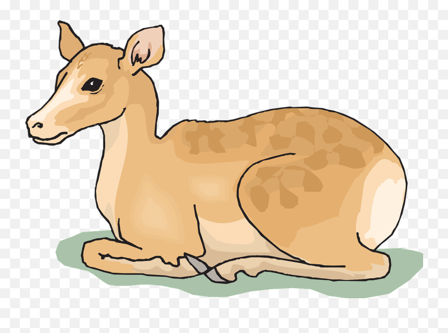 Deer Wild Sitting Forest Animal - Deer Sitting Clipart Emoji,Deer Hunting Emoji