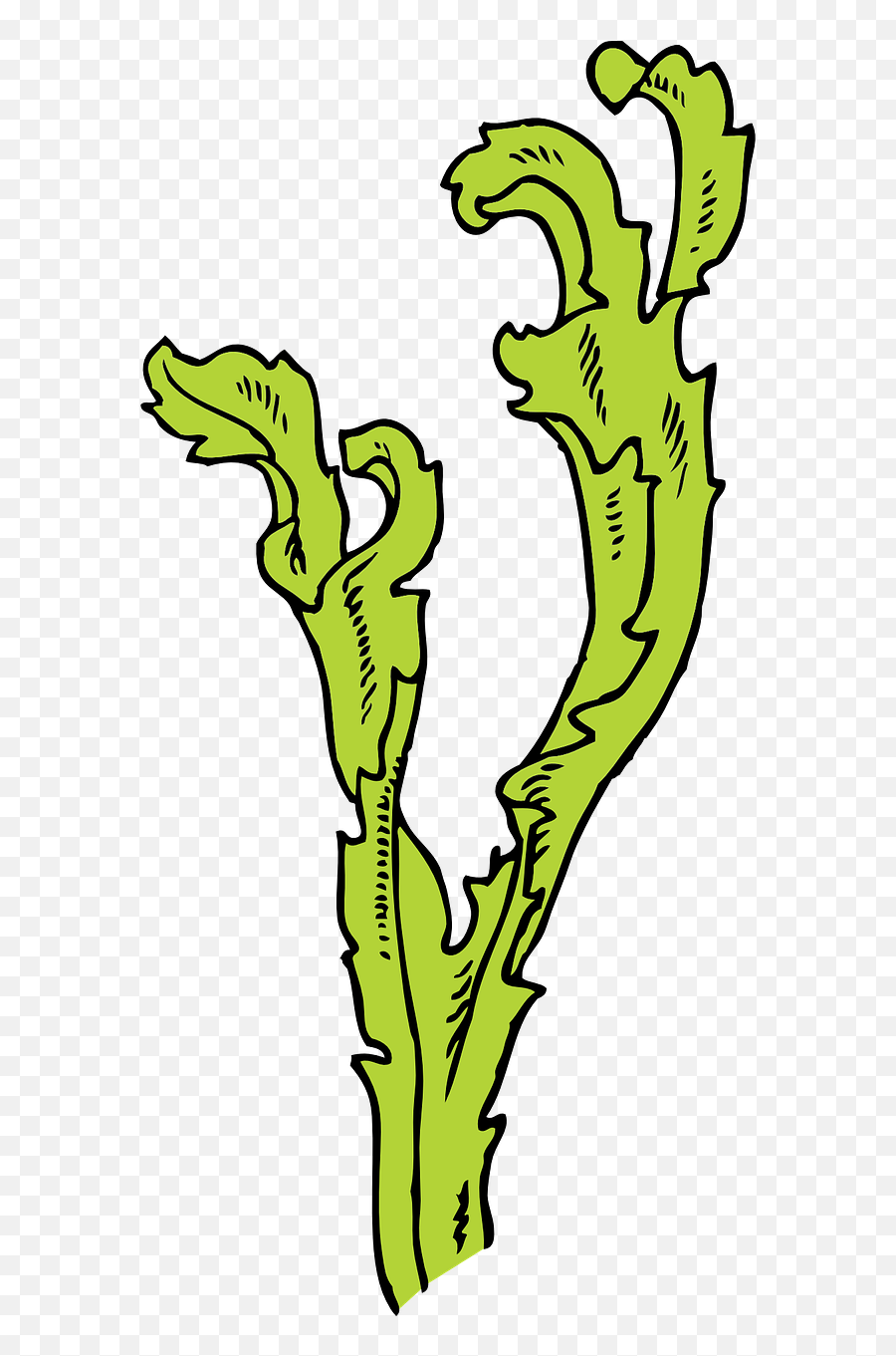 Seaweed Plant Algae Aquatic Underwater - Seaweed Clip Art Emoji,Rock And Roll Hand Emoji