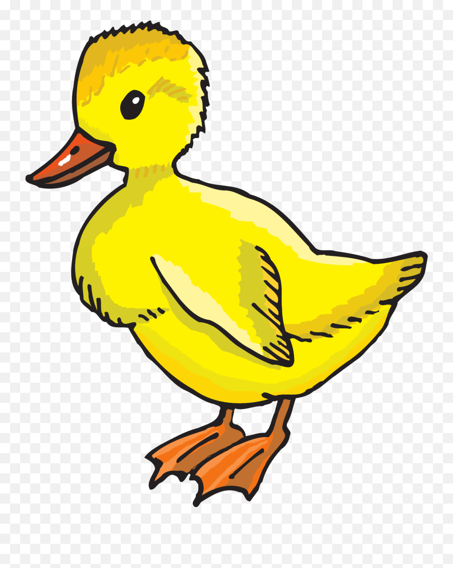 Yellow Duckling Clipart Emoji,Donald Duck Emoji