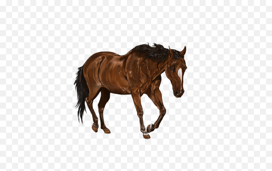 Digital Artwork Horse Art - Horse Walking Png Emoji,Horse Emoji Keyboard