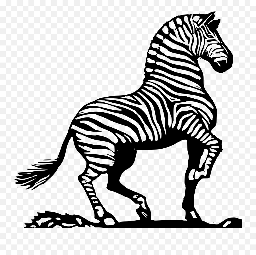 Clipart Zebra Zebra Face Clipart Zebra Zebra Face - Zebra In Black And White Emoji,Zebra Emoji