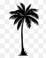 Arecaceae Silhouette Clip Art - Transparent Background Palm Tree Emoji