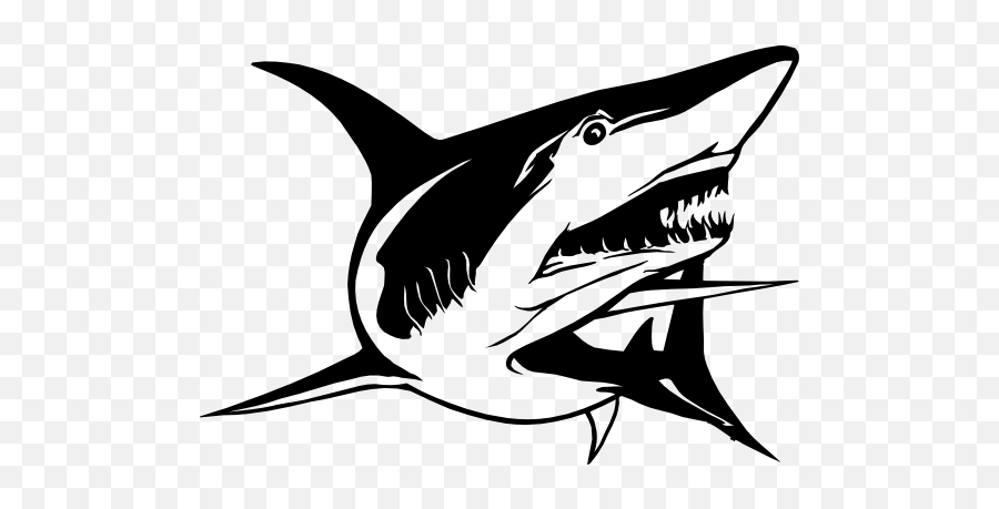 Shark Showing Teeth Sticker - Shark Fish Sticker Emoji,Shark Emoji