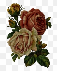 Dead Flower Png Dead Flower Png Transparent Free For - Vintage Flower For Decoupage Emoji,Dead Flower Emoji
