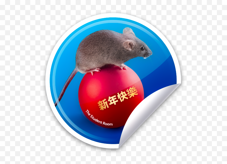 Chinese New Year 2020 - Design A Rat And Win It The Marsh Rice Rat Emoji,Rat Emoji