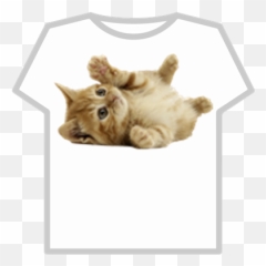 Cat Cat Cat Cat Cat Cat Cat Cat Cat Cat - Cat Transparent Background Emoji,Ninja Cat Emoji