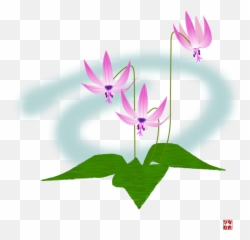 Tulipa Humilis Emoji