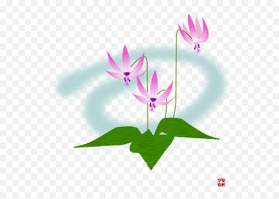 Tulipa Humilis Emoji,Android To Iphone Emoji Translation