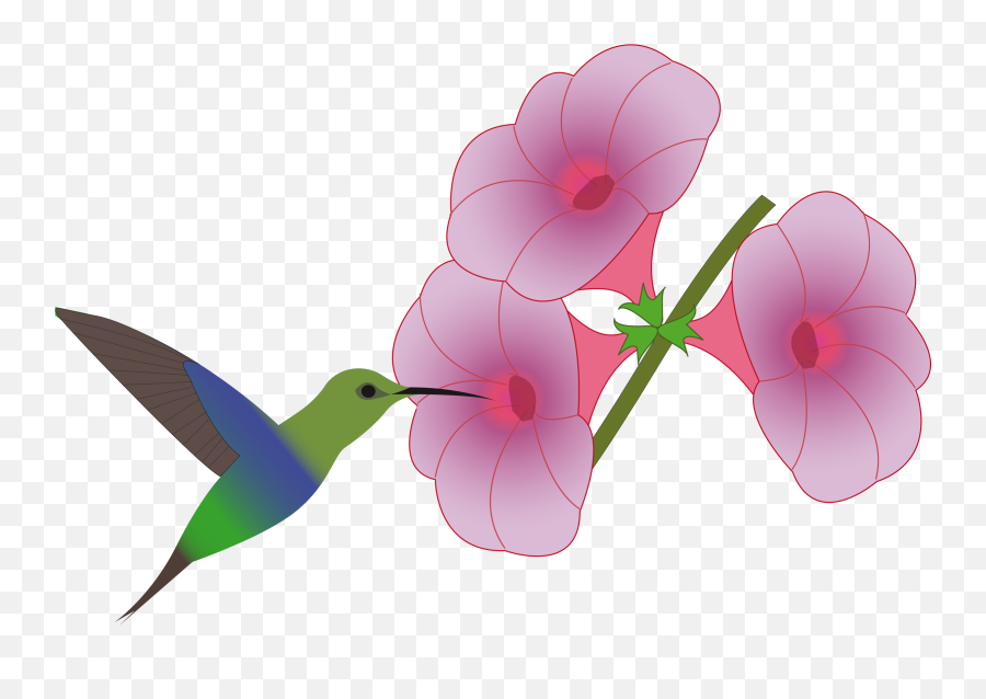 Clipart Of Hummingbird - Hummingbird And Flower Drawing Emoji,Hummingbird Emoji