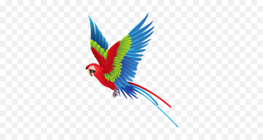 Photo Png And Vectors For Free Download - Dlpngcom Flying Parrot Png Emoji,Stonehead Emoji