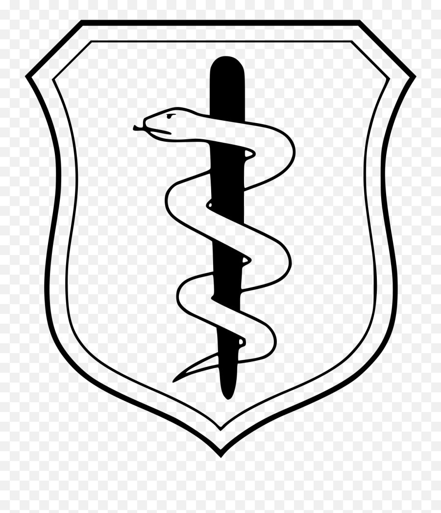 Air Force Medical Corps Clipart - Air Force Nurse Badge Emoji,Air Force Symbol Emoji