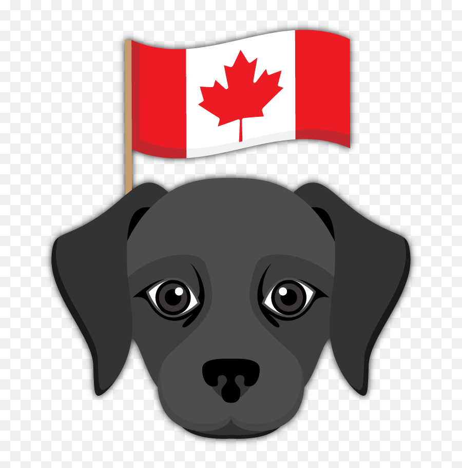 Black Labrador Emoji - Emoji Labrador,Canadian Flag Emoji