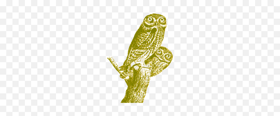 Owls Vintage - O Reilly Thepracticaldev Emoji,Apple Kiss Emoji