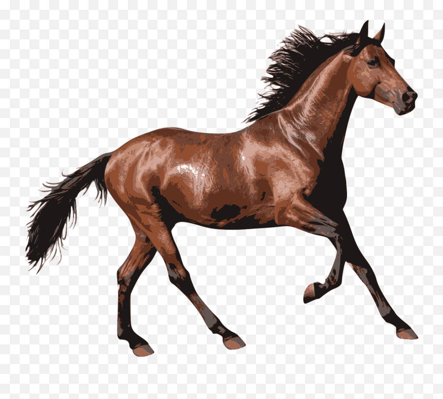 Horse Animal Horselove - Horse Transparent Background Emoji,Horse Emoji App