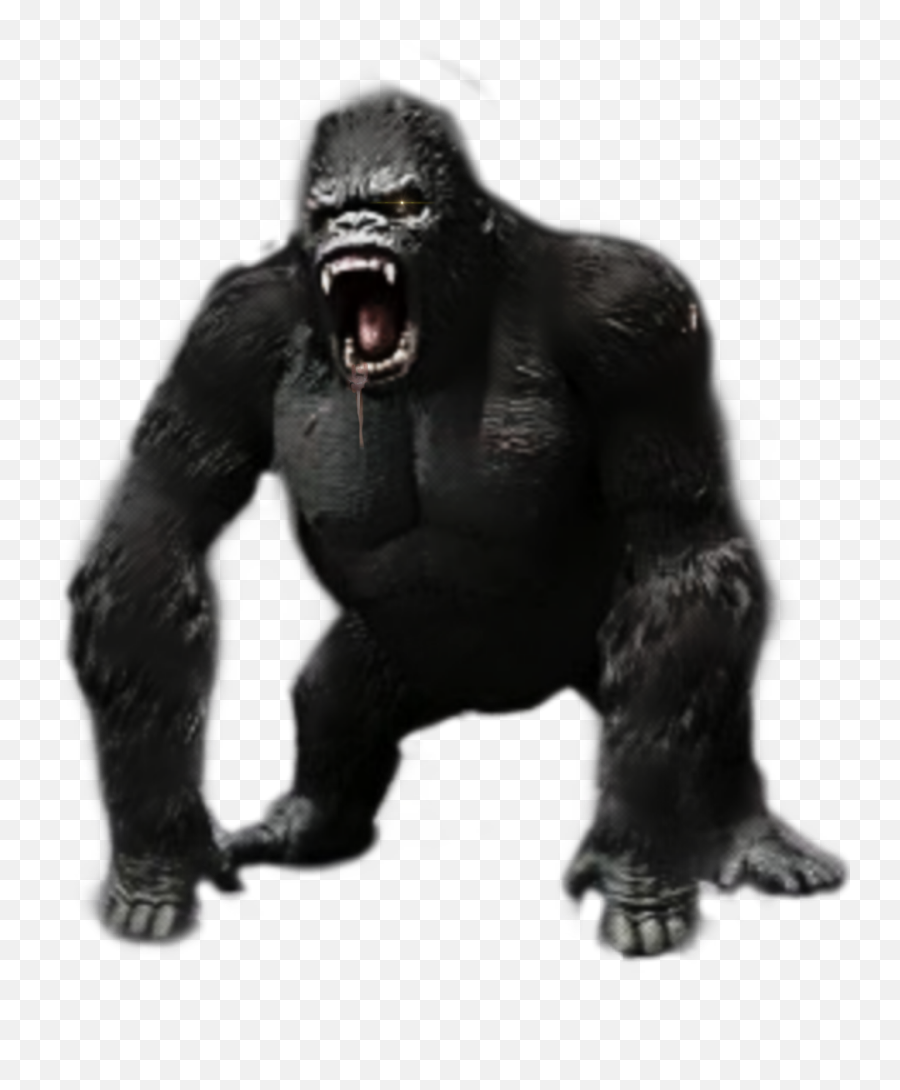Kong Kingkong Gorilla Giants Monsters - Fang Emoji,Gorilla Emoji