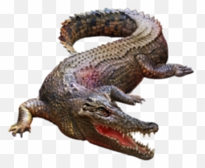 Crocodile - Animal Png Emoji