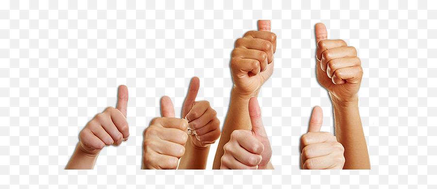 Download Datapacket Reviews Many Hands Thumbs Up Full Thumbs Up Many Hands Transparent Emoji Thumbs Up Emoji Png Transparent Free Transparent Emoji Emojipng Com
