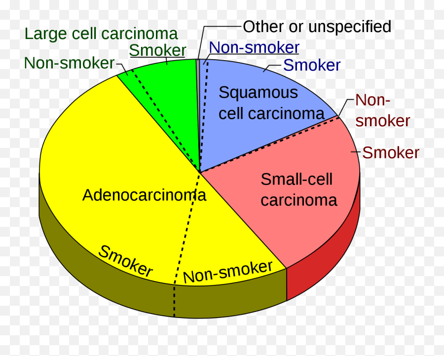 Pie Chart Of Lung Cancers - Chart For Lung Cancer Emoji,Emojis Are Cancer