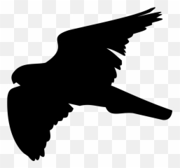 Free Shadow Silhouette Vectors - Of A Hawk Emoji