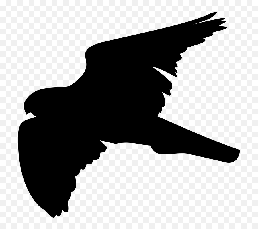 Free Shadow Silhouette Vectors - Shadow Of A Hawk Emoji,Whip Emoticon