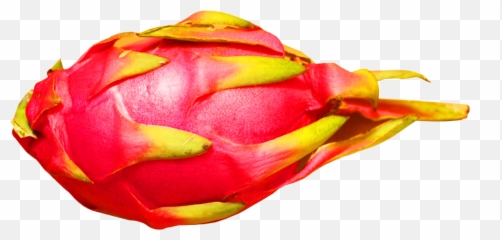 Fruit Transparent Png Clipart - Dragon Background Emoji