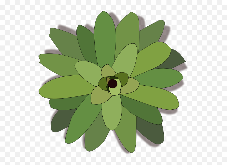 Bromelia Plant Clip Art - Bromeliads Emoji,Four Leaf Clover Emoji