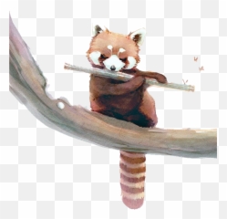 Download Red Panda Giant Raccoon Watercolor Painting - Cute Wallpaper Iphone Emoji